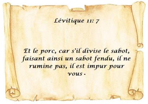 Levitique 11 7