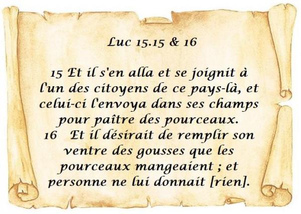 Luc 15 15 a 16