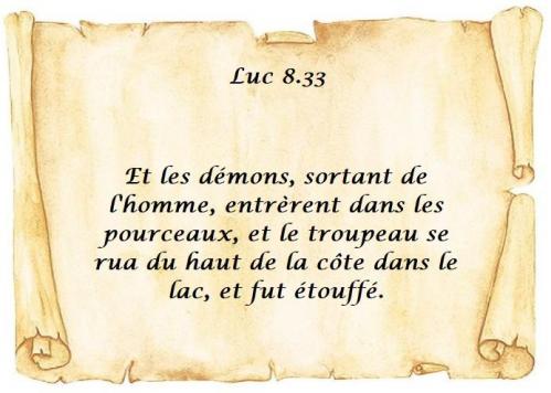 Luc 8 33