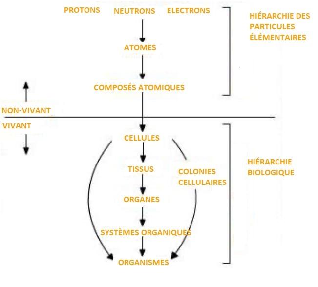 Physique2